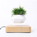 ZenLevitate™ — The Original Floating Magnetic Bonsai Pot