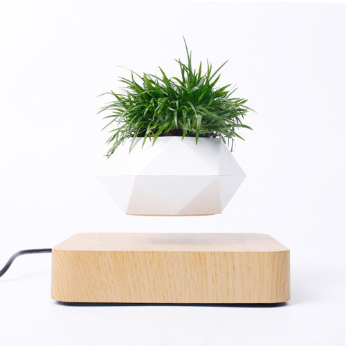 ZenLevitate™ — The Original Floating Magnetic Bonsai Pot