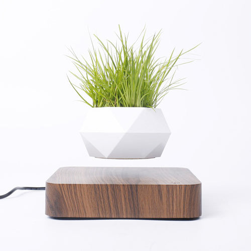 ZenLevitate™ — The Original Floating Magnetic Bonsai Pot